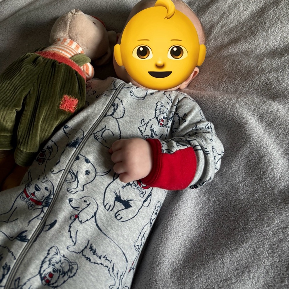 Wonder Nation Gray Footie with dog print